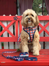 Humphrey in Coco & Pud Fox & Friends Dog Harness reverse