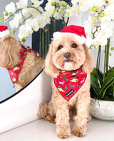 Asta in Coco & Pud Deck the Paws Christmas Dog Bandana