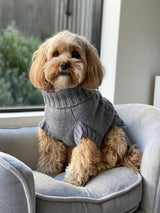 Humphrey in Coco & Pud Coco Cable Pet Sweater Storm Grey