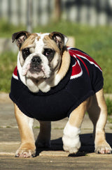Coco & Pud Union Jack Dog Sweater - Coco & Pud