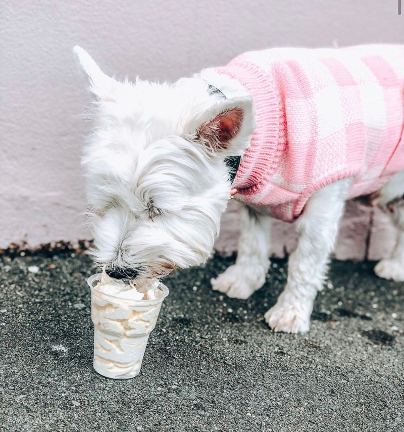 Coco & Pud Boston Dog Sweater Pink/White