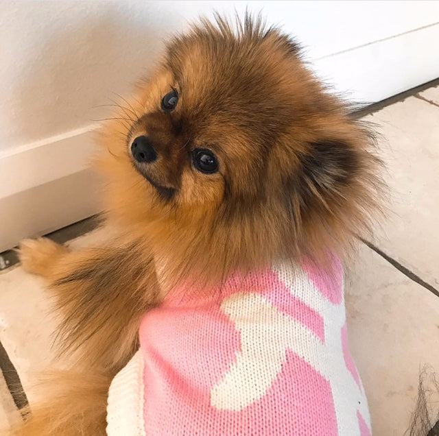 Coco & Pud New York Dog Sweater - Pink - Coco & Pud