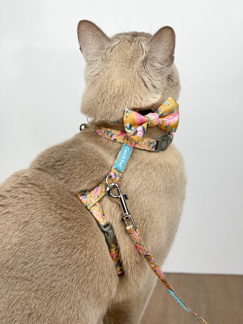 Moet in Coco & Pud Brush with Nature Cat Harness