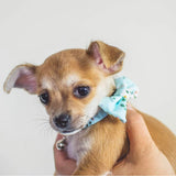 Coco & Pud French Azure Dog Collar & Bowtie