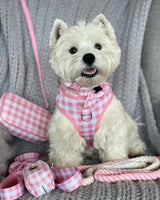 Jazz in Coco & Pud Pink Gingham Dog Harness & Set