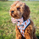 Coco & Pud Oodles of Fun Dog Harness - Kiki The Toy Cavoodle