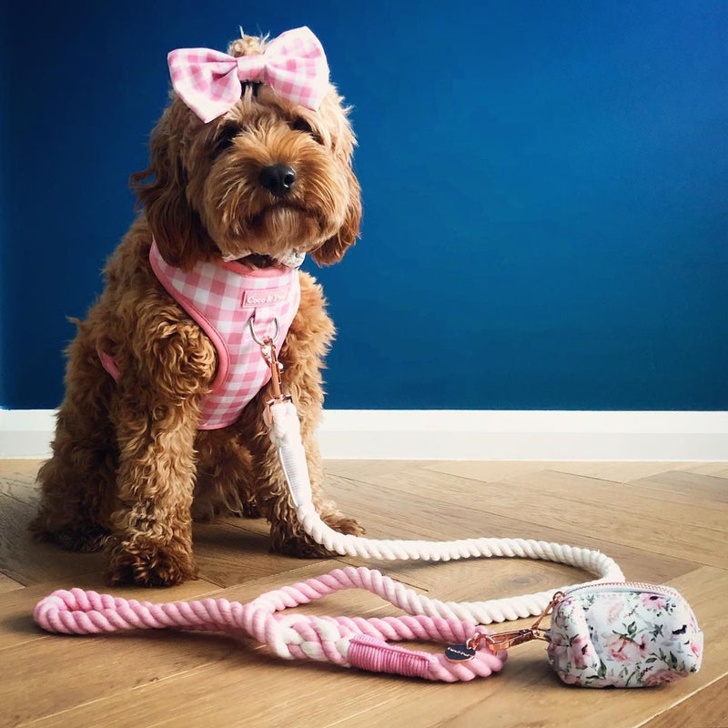 Kiki in Coco & Pud Pink Gingham Dog Harness & Petit Fleur Rope Lead