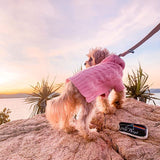 Coco & Pud Edinburgh Pet Sweater Pink