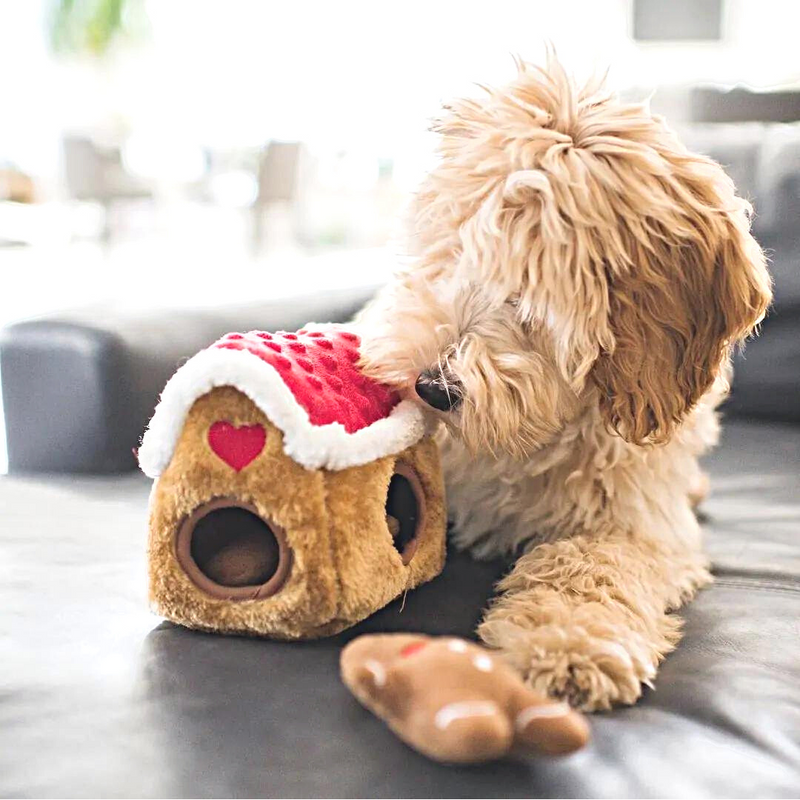 Labradoodle with Interactive Gingerbread House Dog Toy - Coco & Pud