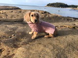 Lola in Coco & Pud Coco Cable Sweater Rose