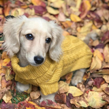 Coco & Pud Coco Cable Pet Sweater Mustard