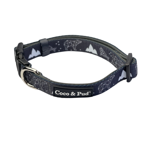 Bear on sale dog collar