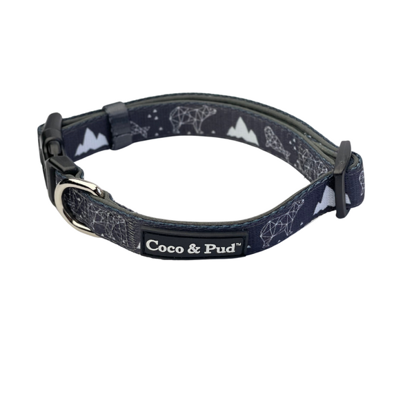 Coco Pud Luna Bear Dog Collar