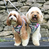 Coco & Pud Floral Blooms Dog Harness