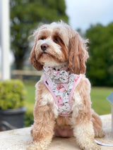 Coco & Pud Le Jardin Reversible Dog Harness