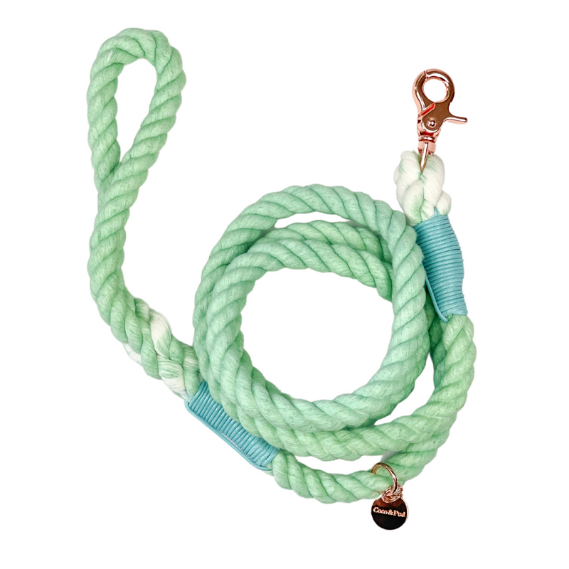 Coco & Pud Mint Rope Lead