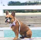 Coco & Pud Le Jardin Dog Collar & Bow tie