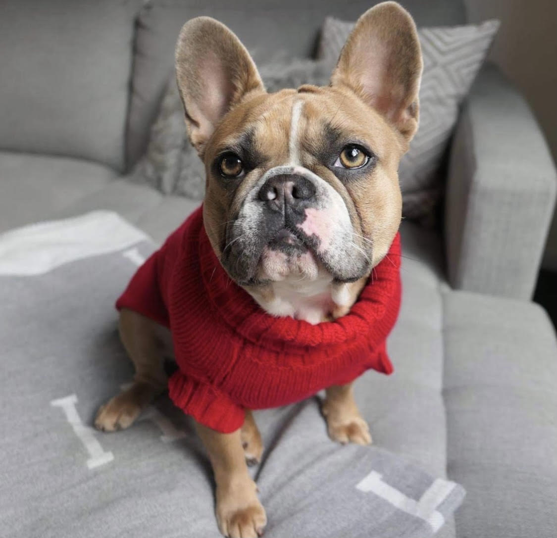 Miss Milly in Coco & Pud Coco Cable Sweater Barn Red