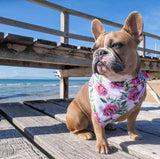 Miss Milly in Coco & Pud Peony Cotton Dog Bandana