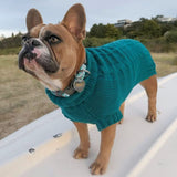 Miss Milly in Coco & Pud Coco Cable Pet Sweater Teal
