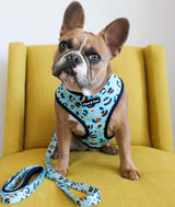 Miss Milly in Coco & Pud Walk on the Wild Side Dog Harness