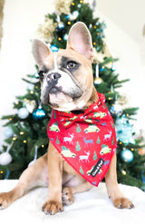 Miss Milly in Coco & Pud Deck the Paws Christmas Dog Bandana