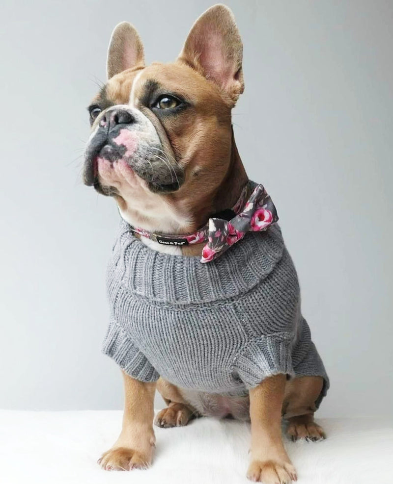 Miss Milly in Coco & Pud Coco Cable Pet Sweater Storm Grey