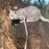 Coco & Pud Le Jardin Cat Harness & Lead