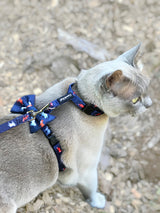 Moet in Coco & Pud Fox & Friends Cat Harness & Lead