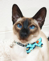 Morris in Coco & Pud Walk on the Wild Side Cat Collar