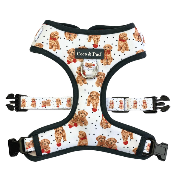 Coco & Pud Oodles of Fun Adjustable Dog Harness - front