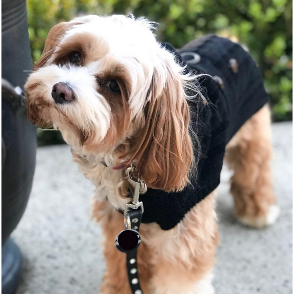 Coco & Pud Paris Dog Sweater - Black - Coco & Pud