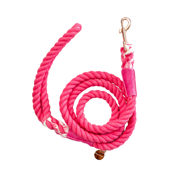 Pink rope dog clearance leash