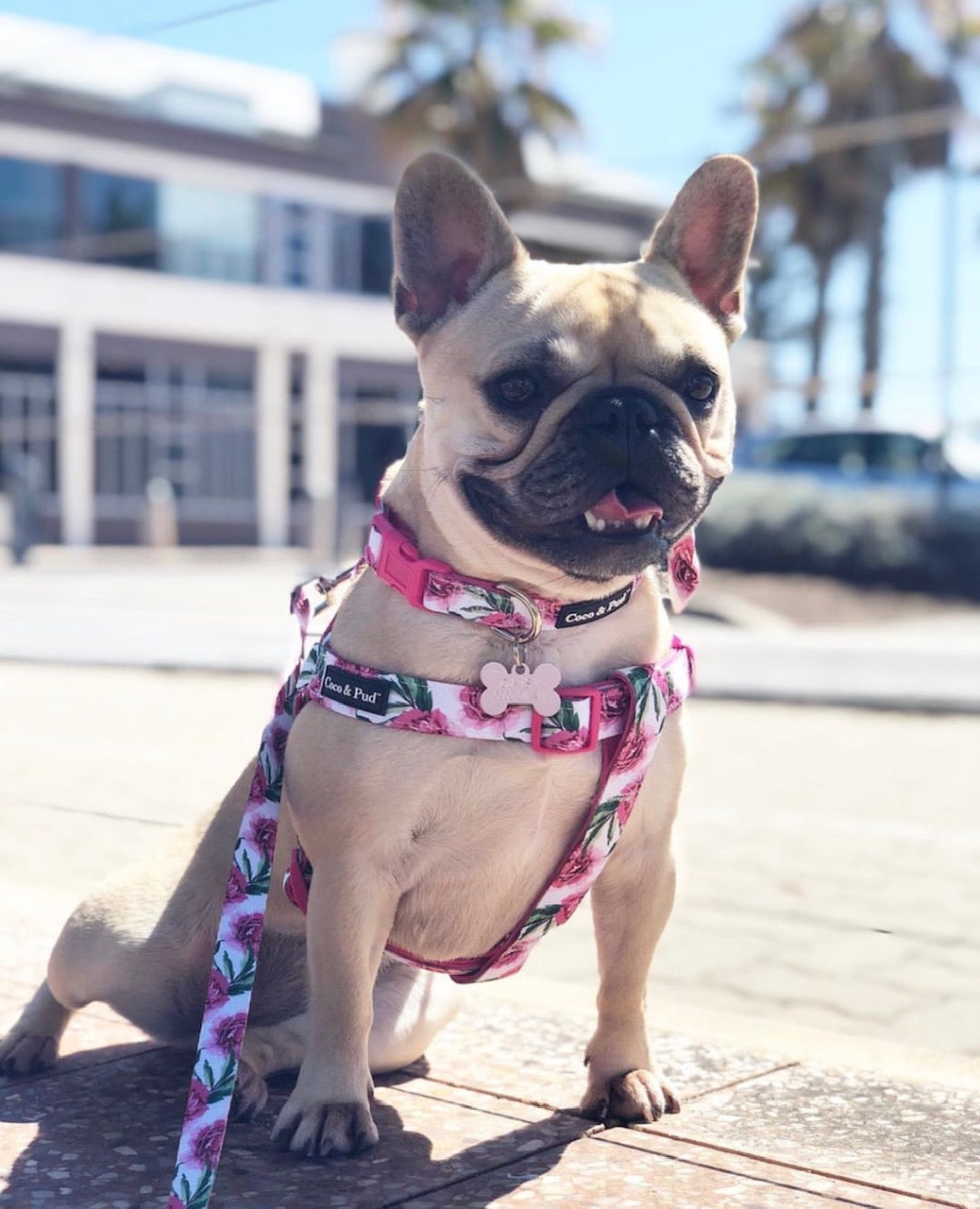 Lulu pink dog harness best sale