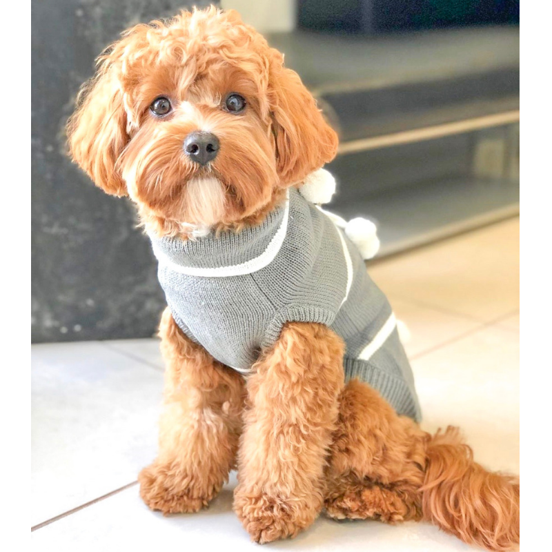 Pom Pom Dog Sweater - Coco & Pud