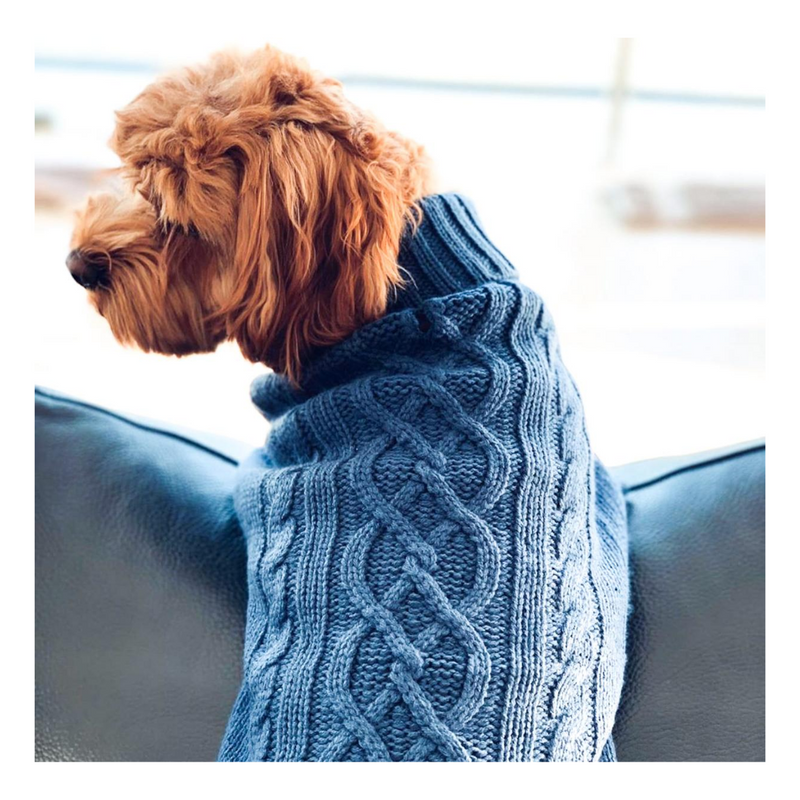 Dog pullover discount