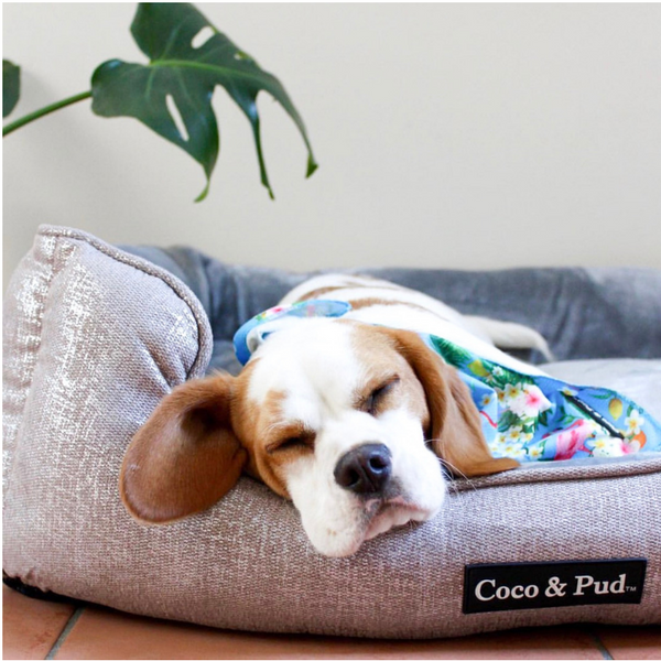 Coco & Pud Soho Luxe Lounge Bed - Silver - Coco & Pud
