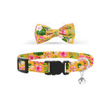 Coco & Pud Summer Sunrise Cat Collar & Bow tie
