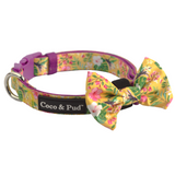 Coco & Pud Summer Sunrise Collar & Bowtie - Coco & Pud