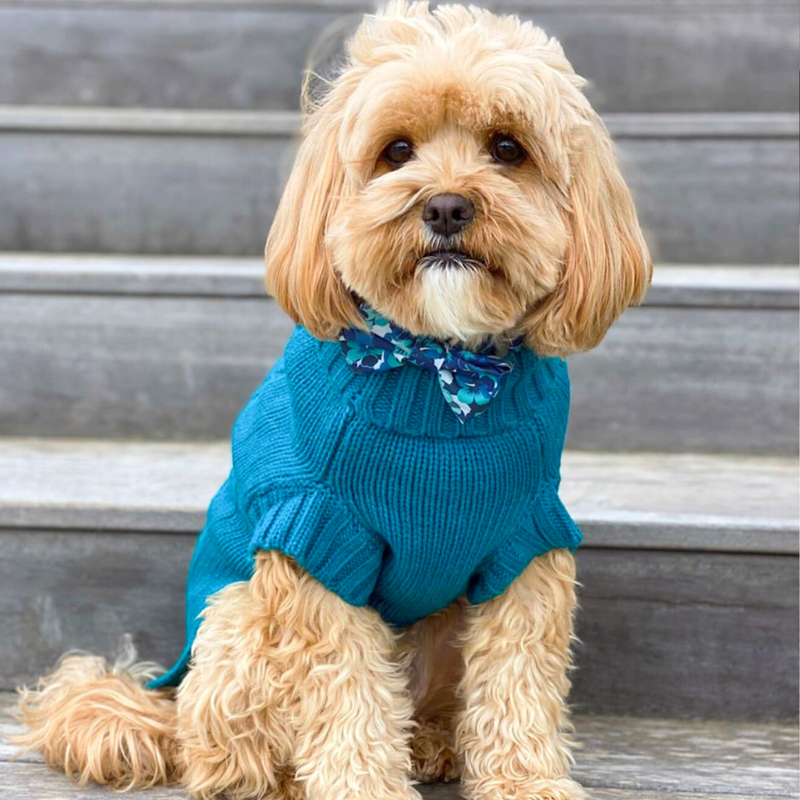 Coco Cable Dog Sweater Teal Coco Pud