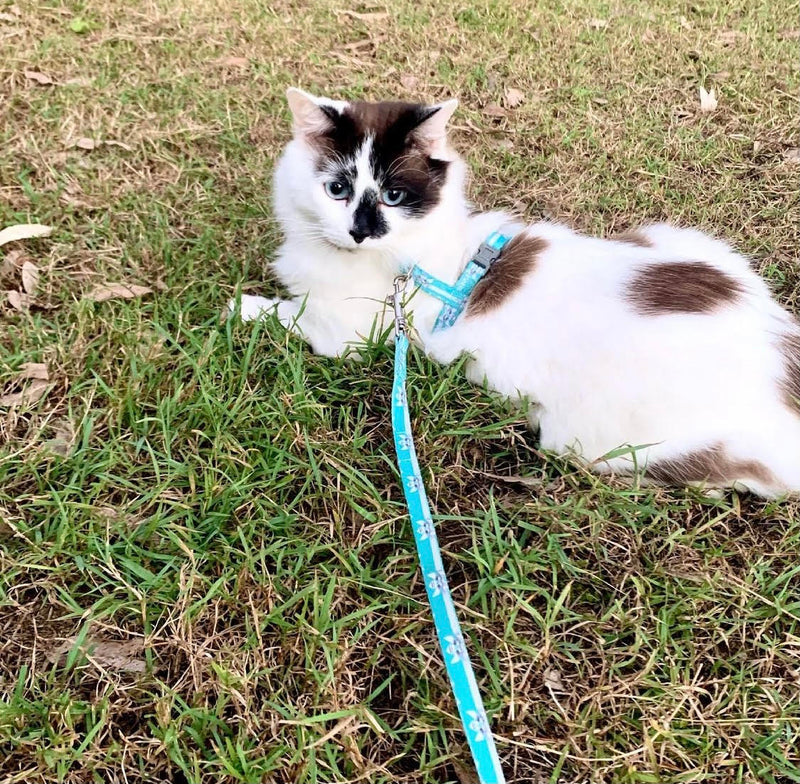 Coco & Pud Audrey Cat Harness & Lead