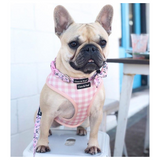 Coco & Pud Provence Rose Reversible Dog Harness