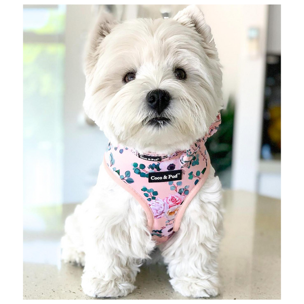 Coco & Pud Provence Rose Designer Dog Harness