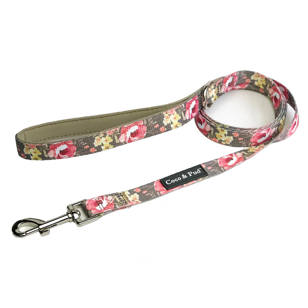 Garden dog lead outlet