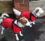 Waterproof Dog Coat 3008-B Red (For Big Dogs) - Coco & Pud