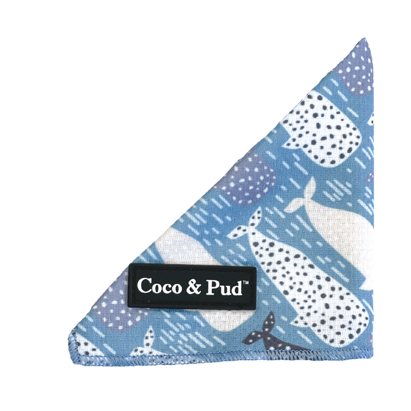 Coco & Pud Whale of a Time Cat Bandana