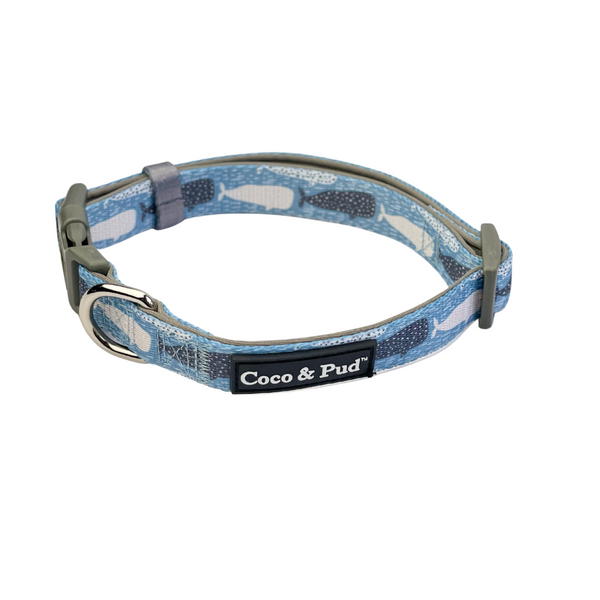 Coco Pud Whale of a Time Dog Collar