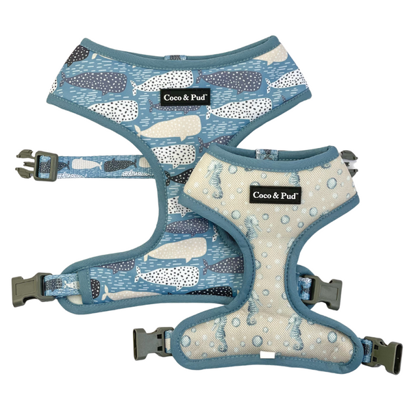Coco & Pud Whale of a Time Reversible Dog Harness