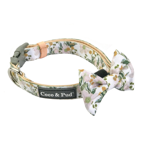 Coco & Pud Windflower Collar & Bow tie - Coco & Pud
