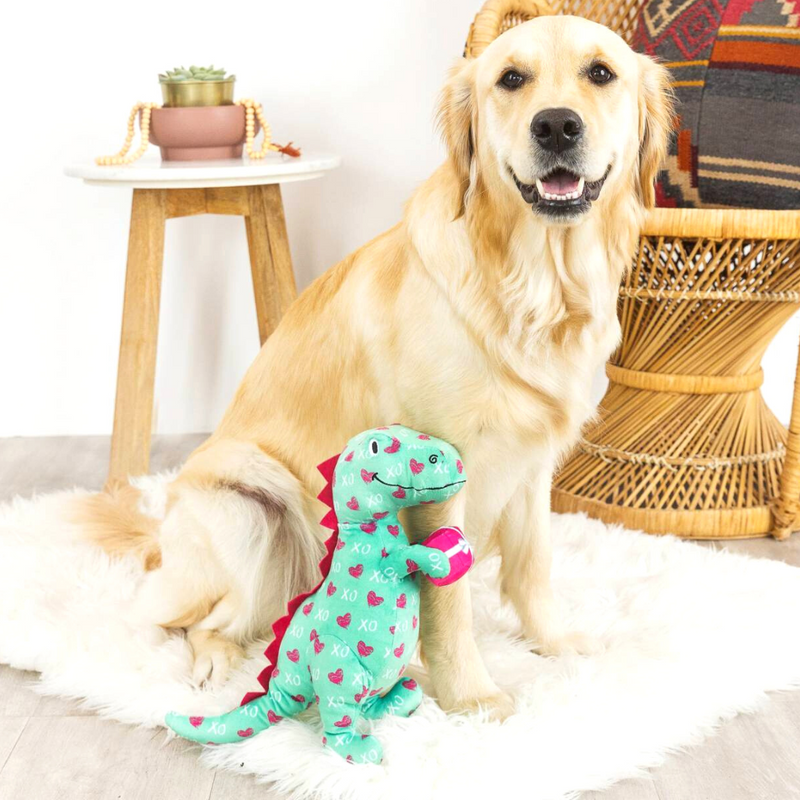 XO Rex Valentine's plush Dog Toy with Golden Retriever dog